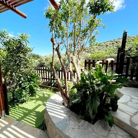 Platipodi Stone House Villa Nikithianos Bagian luar foto